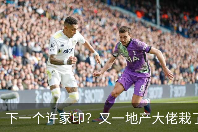 下一个许家印？又一地产大佬栽了，涉案超200亿 已被正式立案调查