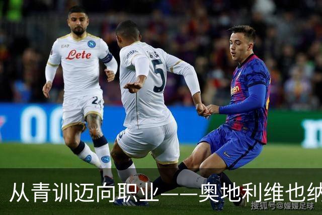 从青训迈向职业——奥地利维也纳足球俱乐部如何念好“青训经”