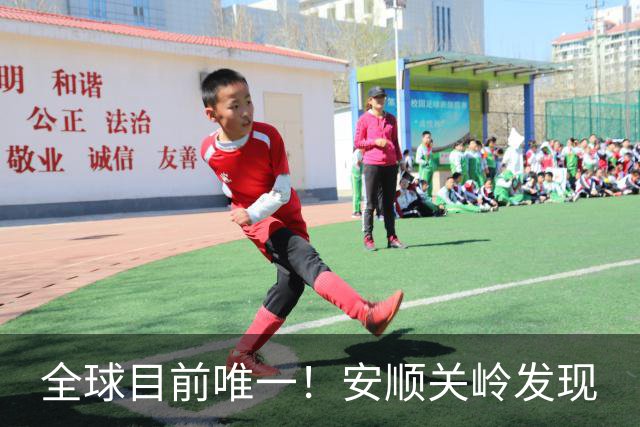 全球目前唯一！安顺关岭发现