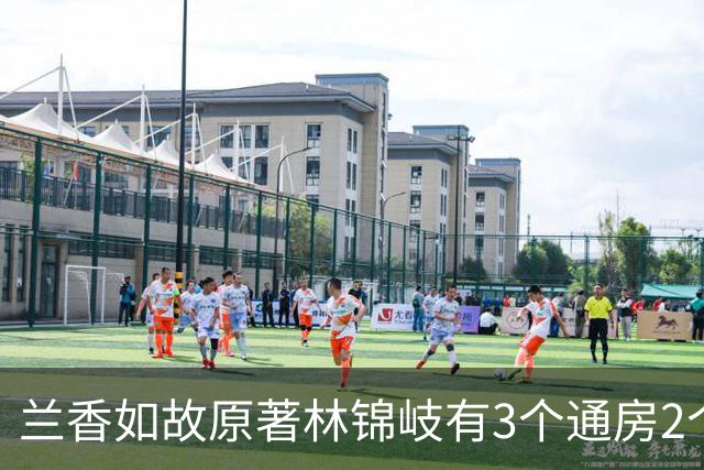 兰香如故原著林锦岐有3个通房2个妾室，个个貌美如花，结局都很惨