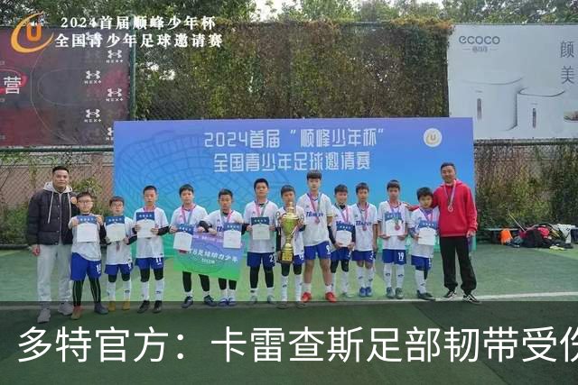 多特官方：卡雷查斯足部韧带受伤，将缺席本轮欧冠和周末联赛