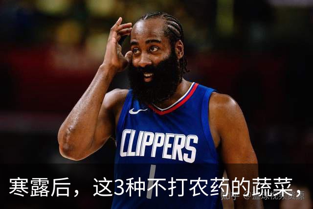 寒露后，这3种不打农药的蔬菜，再贵都要买，强身健体，增免疫