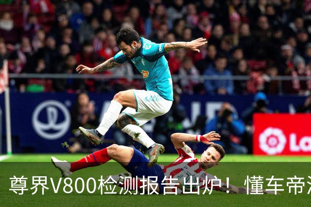 尊界V800检测报告出炉！懂车帝测试人回应：无语