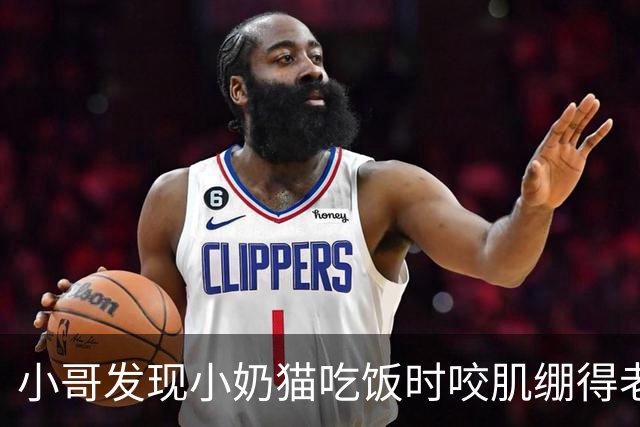 小哥发现小奶猫吃饭时咬肌绷得老紧，以为有什么问题，发帖后被网友集体骂醒：你这是给婴儿啃压缩饼干？
