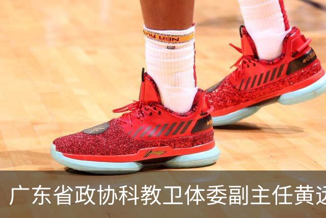 广东省政协科教卫体委副主任黄远通主动交代！内蒙古自治区副厅级王会雨被提起公诉！