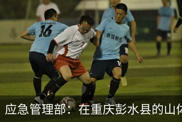 应急管理部：在重庆彭水县的山体崩塌事故中，网格员第一时间叫应，大幅减少了人员伤亡