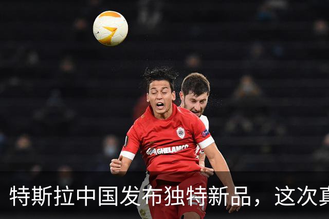 特斯拉中国发布独特新品，这次真买得起了！