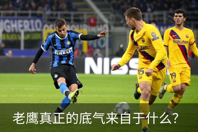 老鹰真正的底气来自于什么？