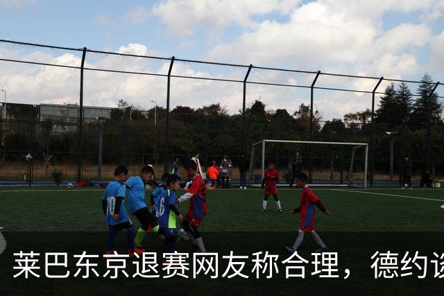 莱巴东京退赛网友称合理，德约谈与费德勒关系强调仅限职业层面