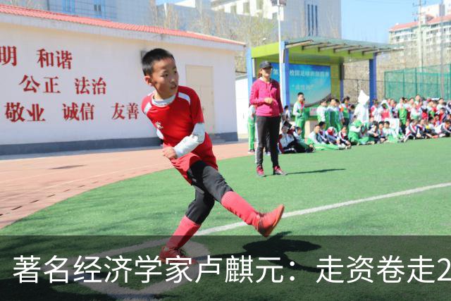 著名经济学家卢麒元：走资卷走21万亿，否则早就实现共同富裕了！