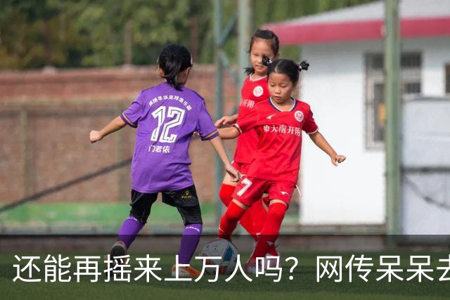 还能再摇来上万人吗？网传呆呆去年赚400万，今年在田里搭桌备宴，评论区一句话太扎心