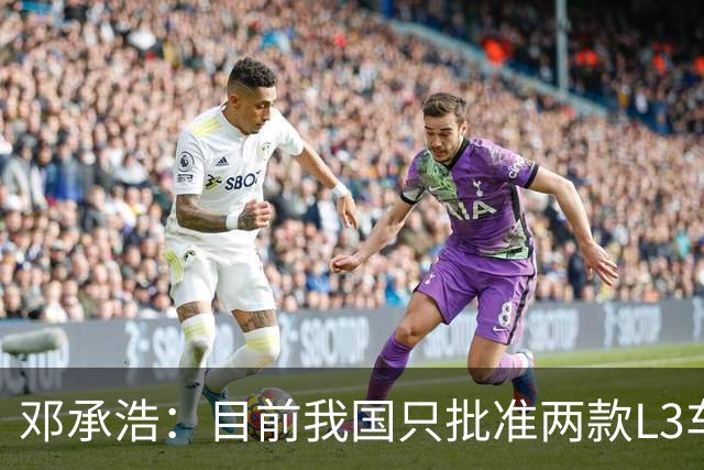 邓承浩：目前我国只批准两款L3车型 很多产品在打擦边球