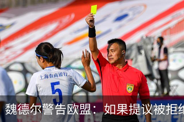 魏德尔警告欧盟：如果提议被拒绝，在上台后，德国将举行脱欧公投