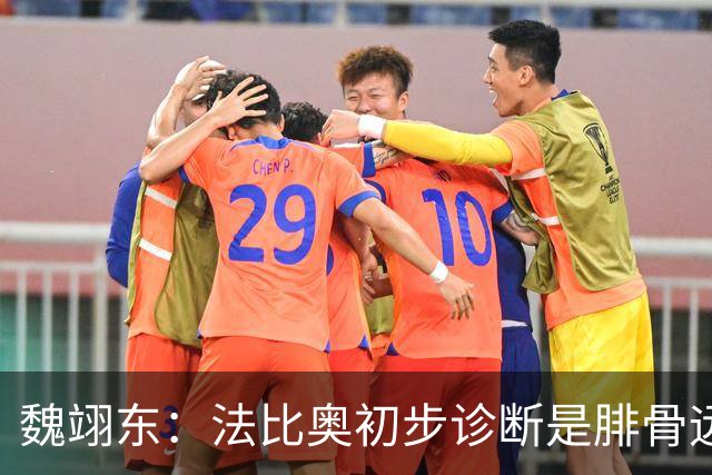 魏翊东：法比奥初步诊断是腓骨远端骨折 常规养伤时间可能要3个月