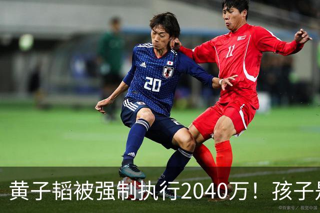 黄子韬被强制执行2040万！孩子是美国籍，已不是第一次出事